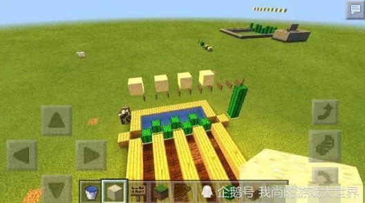 我的世界：高效技巧揭秘，快速收割仙人掌的实用方法分享