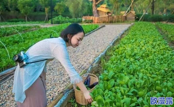 我和农村岳m愉情：分享我们在乡村生活中的点滴乐趣与温馨时光，感受自然的美好与人情的温暖