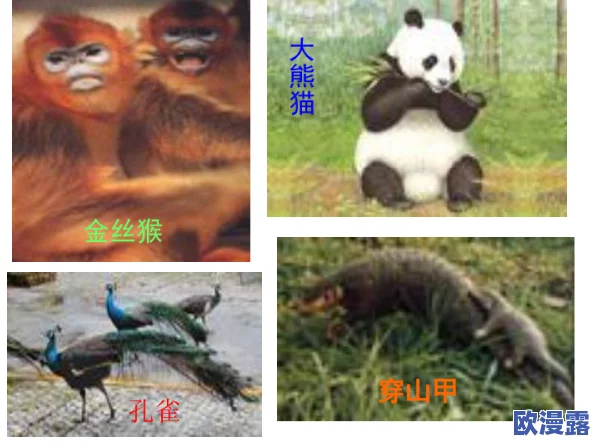 BBWBBWBBwBBw丅Ⅴ:震惊!科学家发现全新物种,颠覆我们对生命的理解,或改变生态平衡! BBWBBWBBwBBw丅Ⅴ:震惊!科学家发现全新物种,颠覆我们对生命的理解,或改变生态平衡!