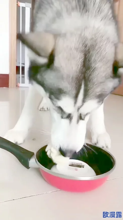 如狼似虎的14p：最新动态揭示了该项目在市场上的强劲表现和未来发展潜力，引发广泛关注