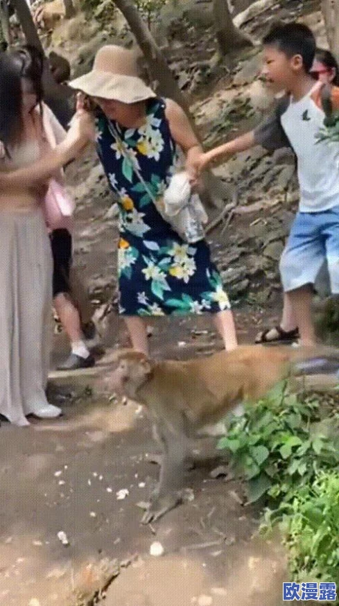 二人生猴子全程不盖被子图片大全,近日引发网友热议,纷纷分享自己的看法与趣事 二人生猴子全程不盖被子图片大全,近日引发网友热议,纷纷分享自己的看法与趣事