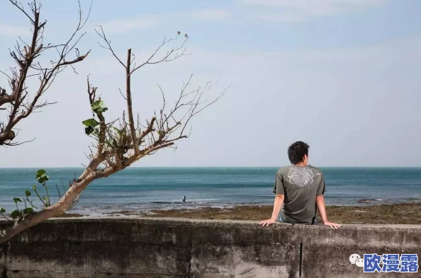 海角 披风 少年，这个故事充满了青春的梦想与勇气，让人感受到无限可能