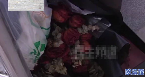 女人张开腿让男人做爽爽,真是让人感到不适,这样的内容应该被抵制 女人张开腿让男人做爽爽,真是让人感到不适,这样的内容应该被抵制