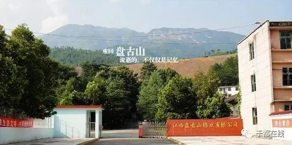 众神风云手游攻略:超级暴力推图阵容搭配指南,解锁高效通关秘籍 众神风云手游攻略:超级暴力推图阵容搭配指南,解锁高效通关秘籍
