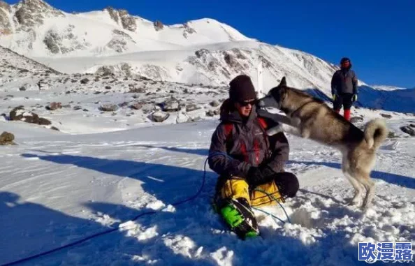 小白不言弃:全面揭秘雪山历险玩法内容,挑战极限之旅大公开! 小白不言弃:全面揭秘雪山历险玩法内容,挑战极限之旅大公开!