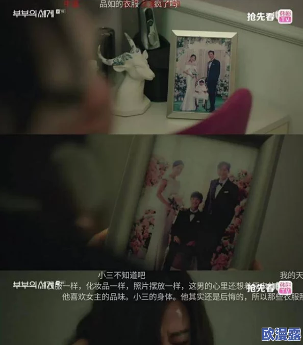换妻3B：这部作品的情节设定真是让人意想不到，充满了惊喜和反转