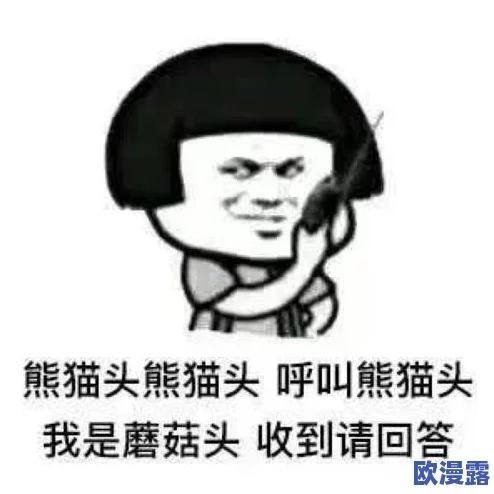 17C一起槽：这个活动真是太有趣了，大家的互动让我感受到了浓厚的社区氛围！