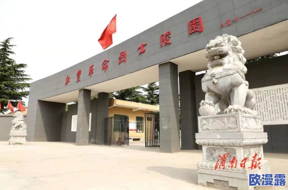 航海王启航：高效防御阵容搭配技巧全解析与实战应用指南