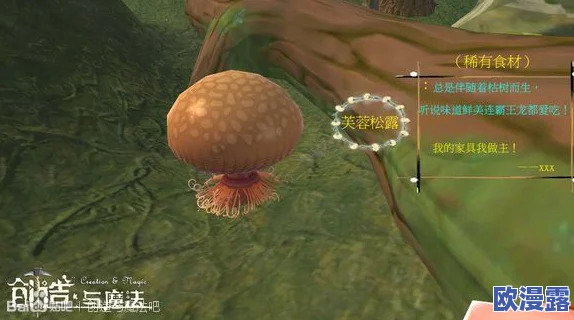 创造与魔法游戏指南：蚕掉落位置全面一览及阔叶类树木种类详解