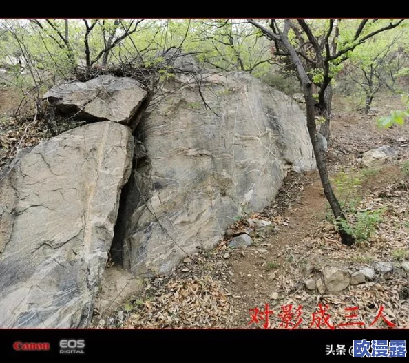 泰安*当地发现罕见古代遗址专家称可能改变历史认知引发广泛关注与讨论 泰安*当地发现罕见古代遗址专家称可能改变历史认知引发广泛关注与讨论