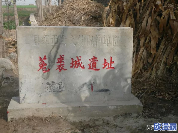 泰安*当地发现罕见古代遗址专家称可能改变历史认知引发广泛关注与讨论 泰安*当地发现罕见古代遗址专家称可能改变历史认知引发广泛关注与讨论