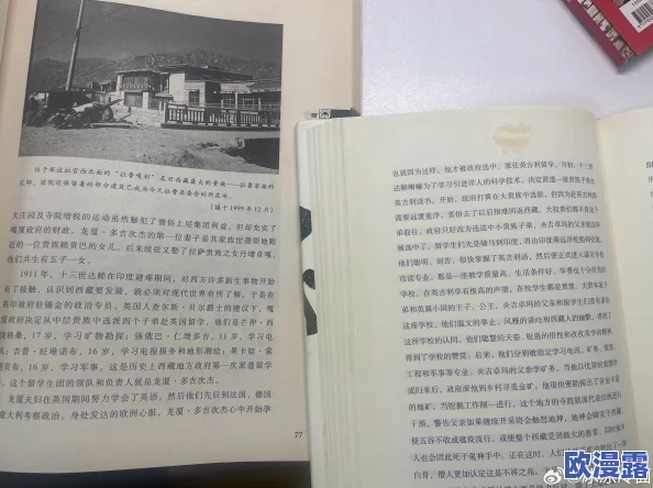 长篇yi∩荡乱岳合集小说txt让我们在阅读中感受生活的多样性与美好,激发内心的勇气与希望,共同追求积极向上的人生 长篇yi∩荡乱岳合集小说txt让我们在阅读中感受生活的多样性与美好,激发内心的勇气与希望,共同追求积极向上的人生