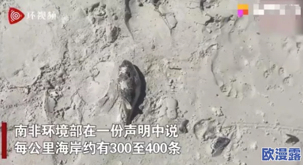 炉石传说:剧毒科学家流派前瞻,毒猪配合无解?探寻万能解毒策略 炉石传说:剧毒科学家流派前瞻,毒猪配合无解?探寻万能解毒策略